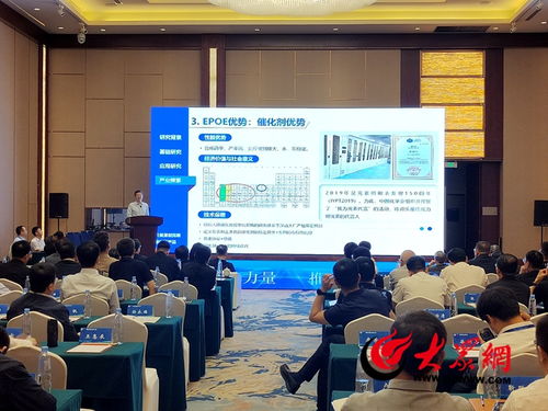 菏澤化工新材料產業 凝聚行業力量，技術驅動高質量發展