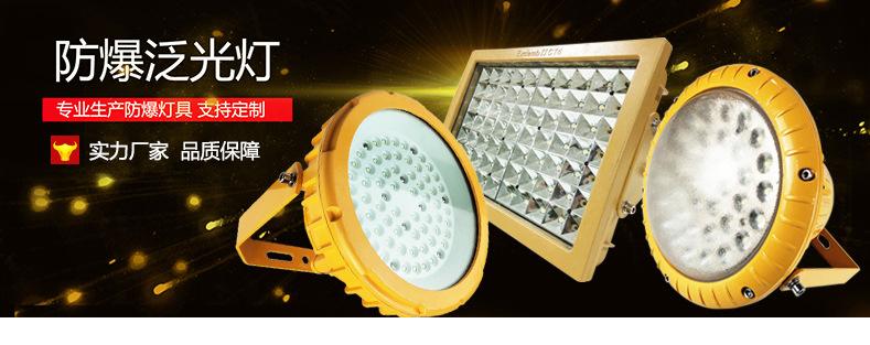 led高效節(jié)能防爆油站燈防水廠用照明燈50w150w200w圓形防爆泛光燈